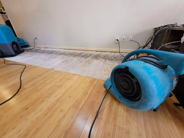 Professional Ceiling Water Damage Repair technician working in Welch, WV